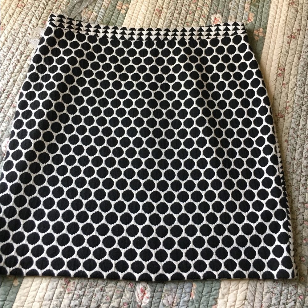 Anthropologie Pencil Skirt